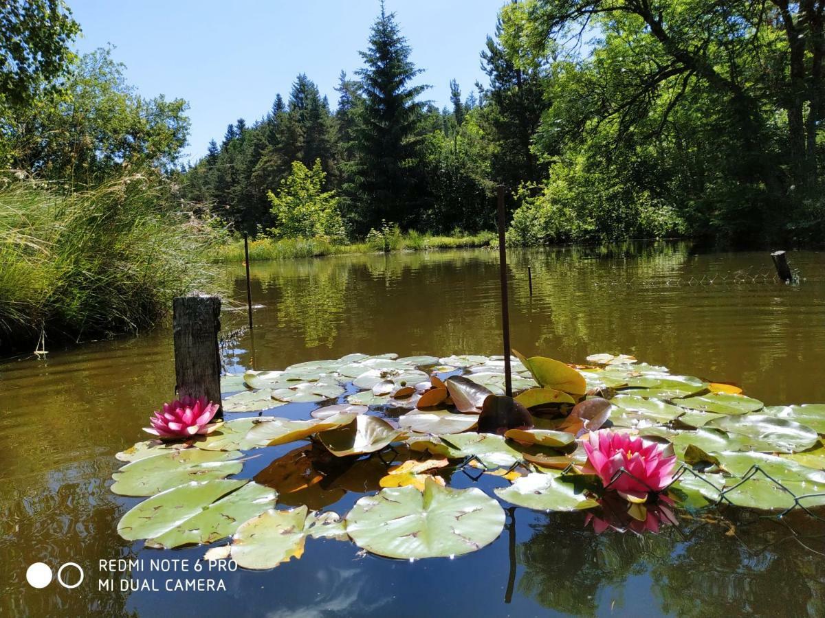 Apartament ReSource Le Chambon-sur-Lignon Zewnętrze zdjęcie